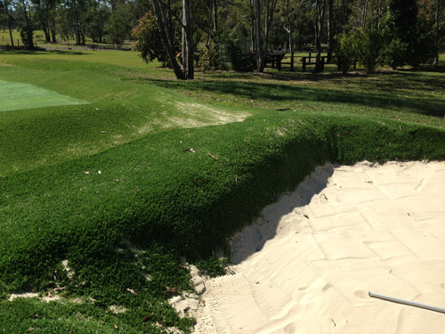 bunker-grass1