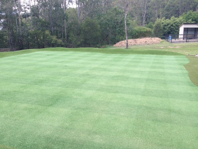 Realistic cross-pattern on my synthetic golf green