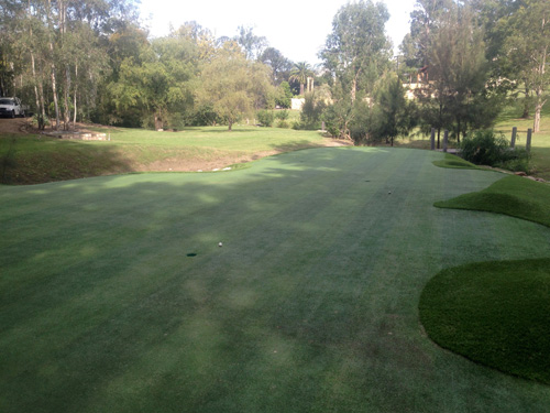 Looking from back to front. You can see the back tee in the distance. The 85 metre tee comes in over the two stumps on the right.